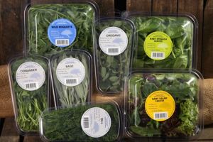 Organic brands on show in China